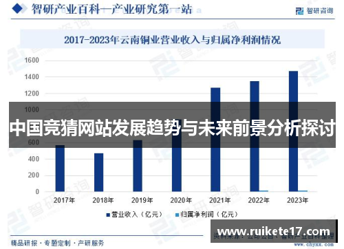 中国竞猜网站发展趋势与未来前景分析探讨