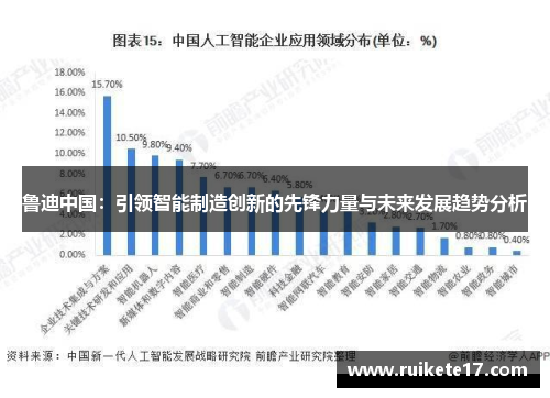 鲁迪中国：引领智能制造创新的先锋力量与未来发展趋势分析